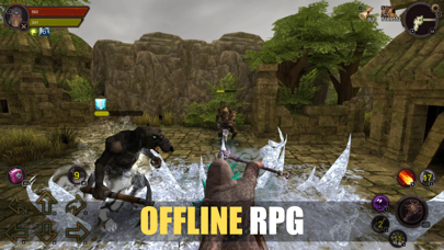 action-beach-fun-leisure